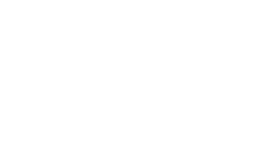 tlg logo2 w